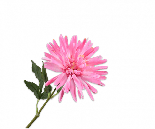 Silk-Ka Dahlia Steel Roze 