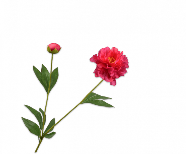 Silk-Ka Pioen Tak Beauty 65cm 