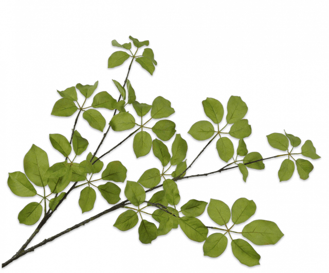 Silk-Ka Bladtak Groen 