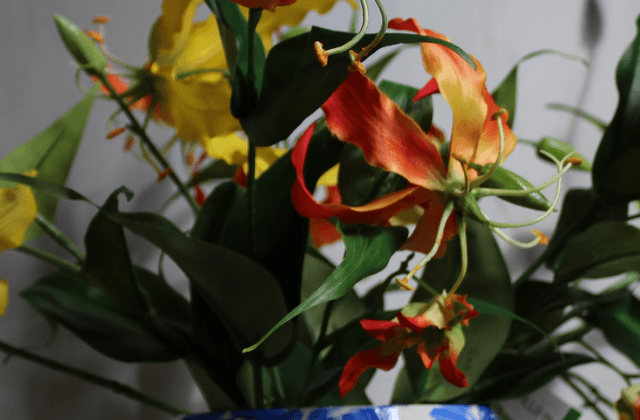 Gloriosa tak Oranje 75cm 