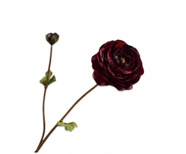 Silk-Ka Ranonkel Tak Bordeaux 65cm 