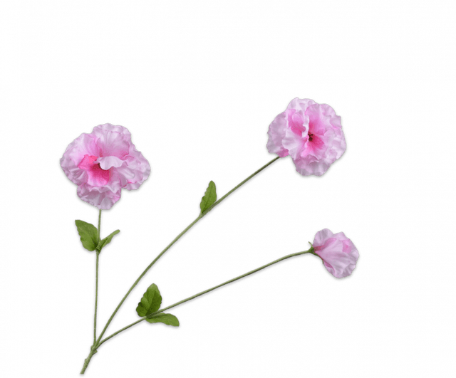 Silk-Ka Viool tak roze bruin