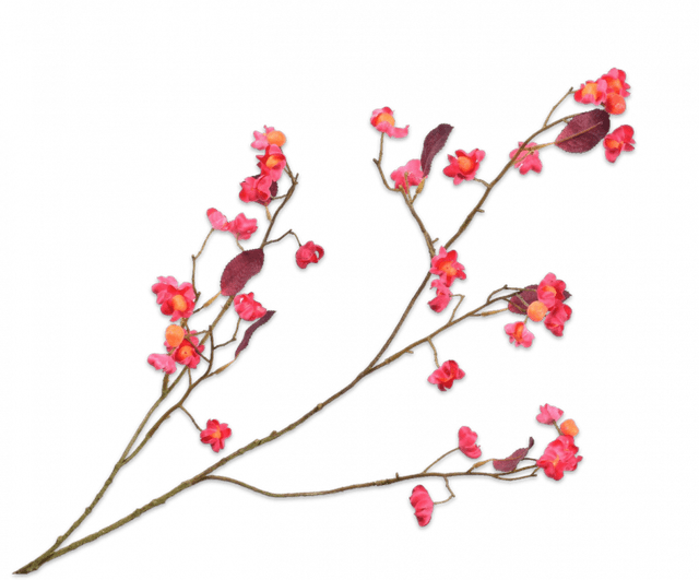 Silk-ka Bessen Tak Beauty 93cm
