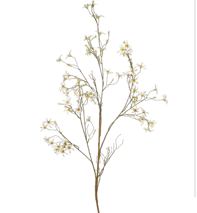 Forsythia Tak Wit 