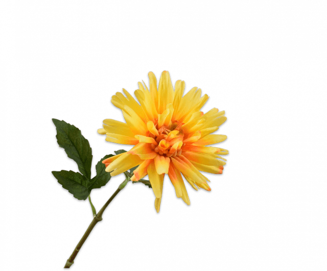 Silk-Ka Dahlia Steel Geel 