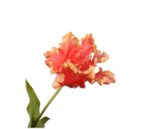 Silk-Ka Tulp Steel Geel Roze 