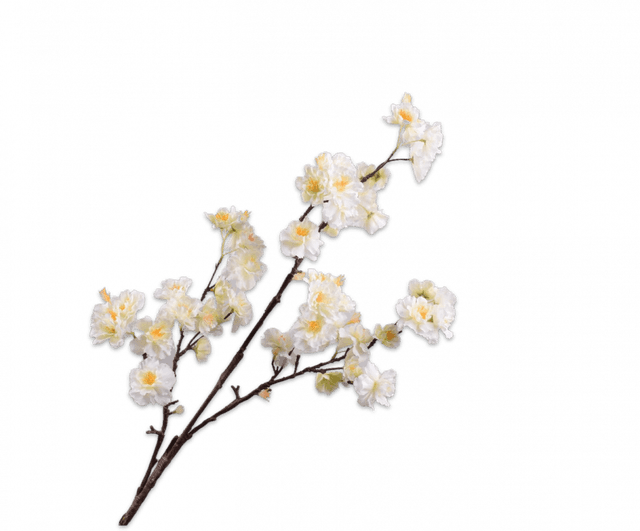 Silk-Ka Bloesem Tak Wit 