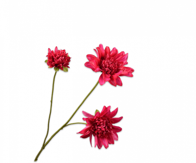 Silk-Ka Dahlia Tak Beauty 65cm