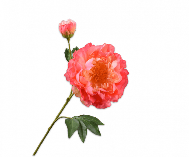 Silk-Ka Pioen Tak Zalm 79cm