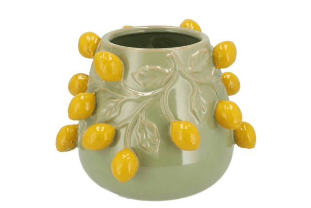 Fruit lemon pistache pot 