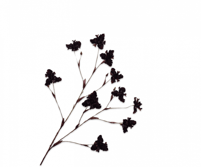 Silk-Ka Iris Tak Bordeaux 124cm