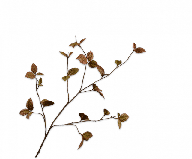 Silk-Ka Bladtak Licht Bruin 116cm