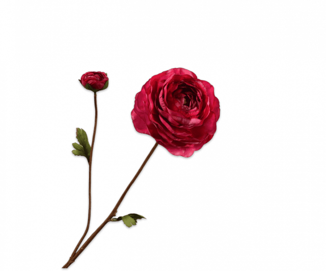 Silk-Ka Ranonkel Tak Beauty 65cm RT