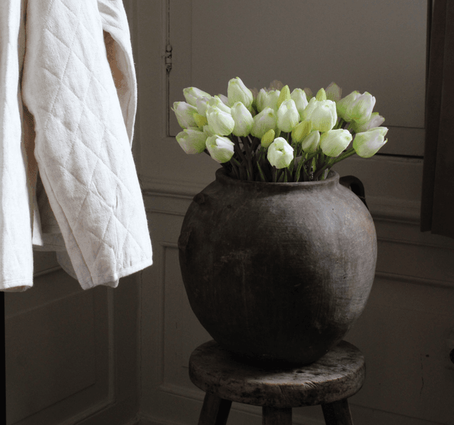 tulp classic white 