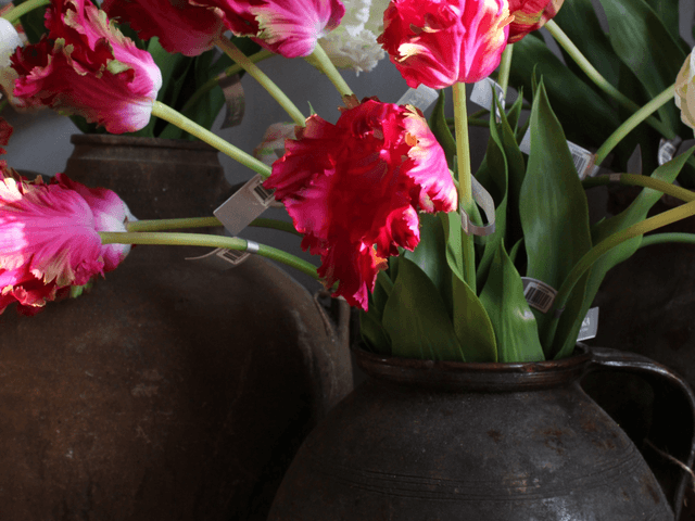 Silk-Ka Tulp Steel Paars Roze 