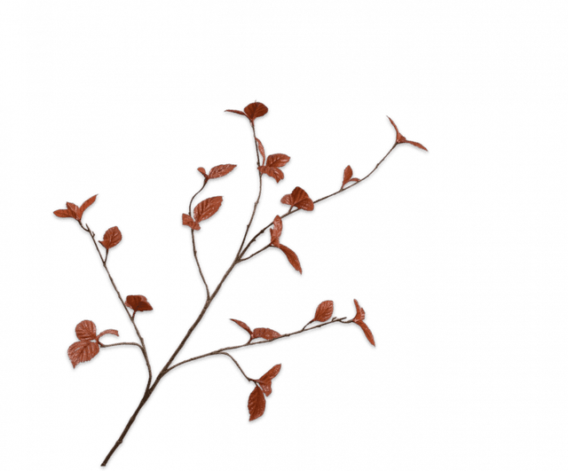 Silk-Ka Bladtak Bruin 116cm
