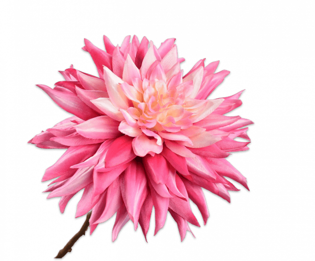 Silk-Ka Dahliasteel Donker Roze 