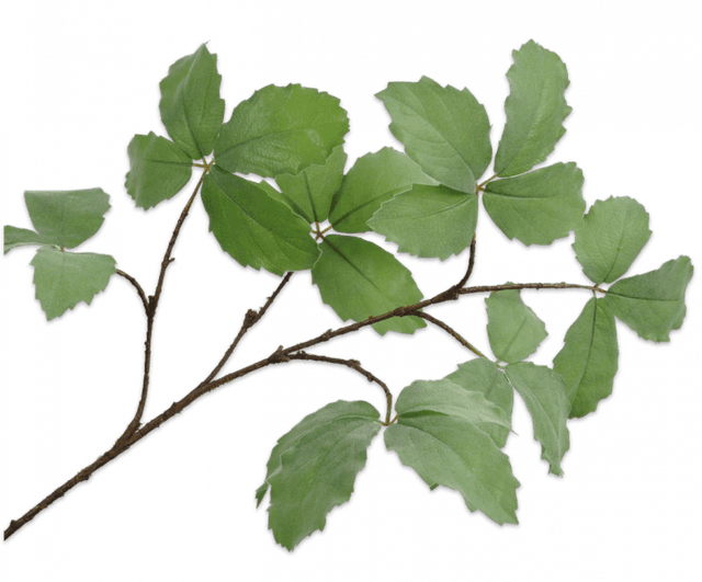 Silk-Ka Tak blad 103cm groen