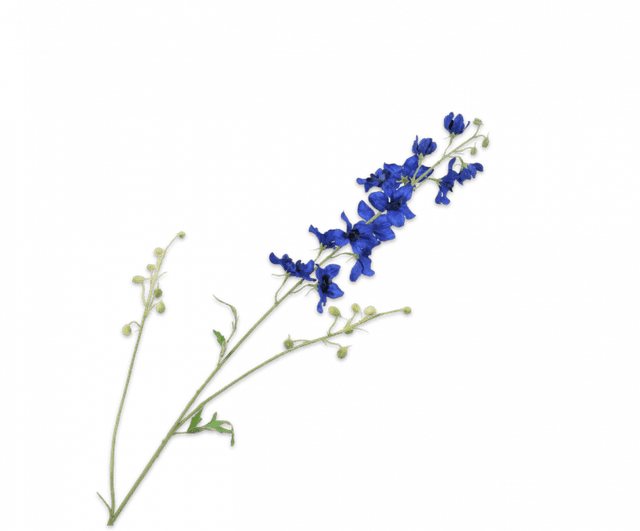 Silk-Ka Delphinium Blauw 