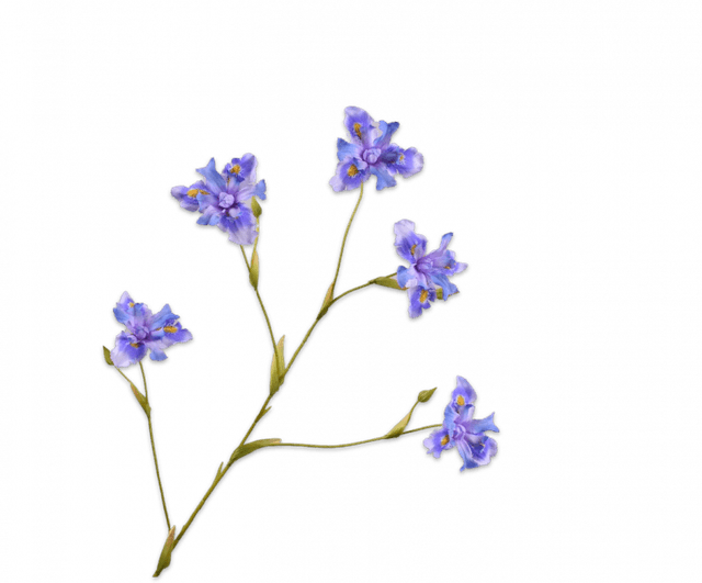 Silk-Ka Iris tak lavendel