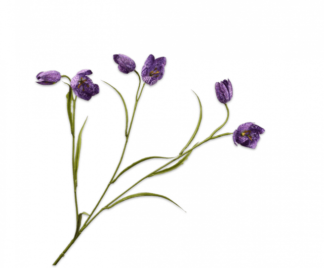 Silk-Ka Fritillaria Tak Lavendel 
