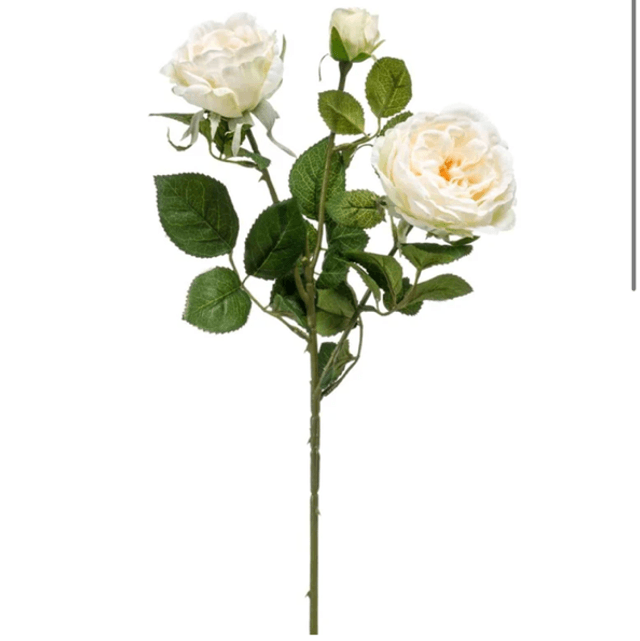 Rose spray 58cm cream