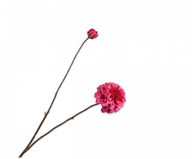 Silk-Ka Dahlia Tak Beauty 86cm