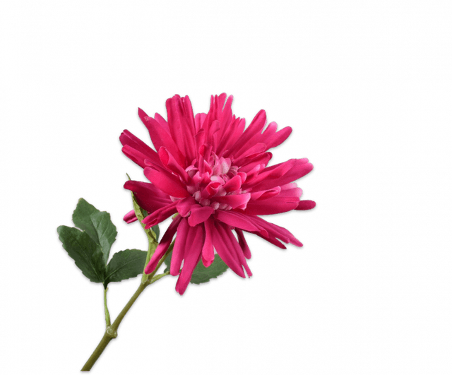 Silk-Ka Dahlia Steel Fuchsia 