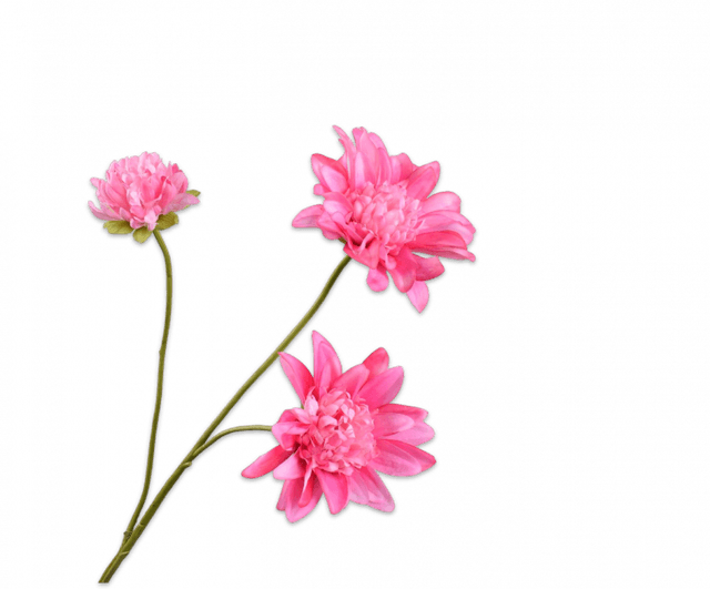 Silk-Ka Dahlia Tak Roze 65cm