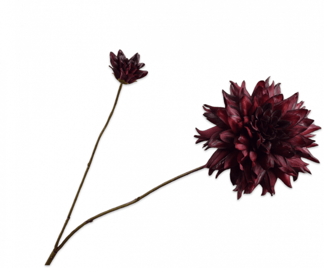 Silk-Ka Dahlia Tak Bordeaux Rood 102cm