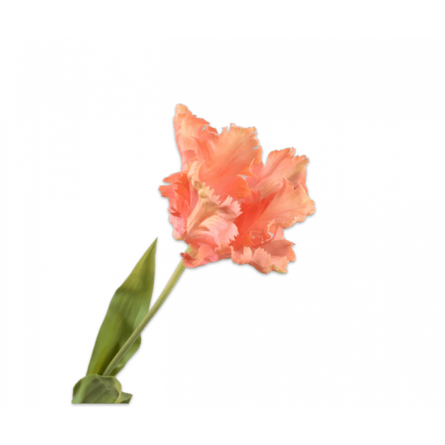 Silk-Ka Tulp Perzik 