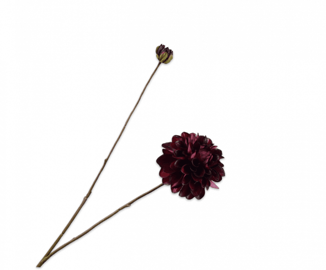 Silk-Ka Dahlia Tak Bordeaux 86cm