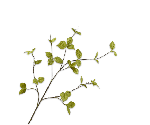 Silk-Ka Bladtak Groen 116cm