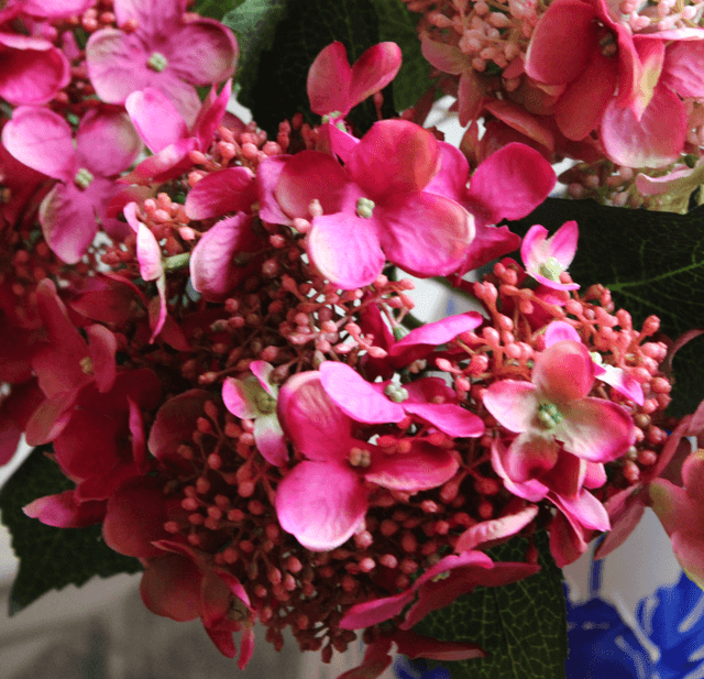 Hydrangea Tak Fuchsia 