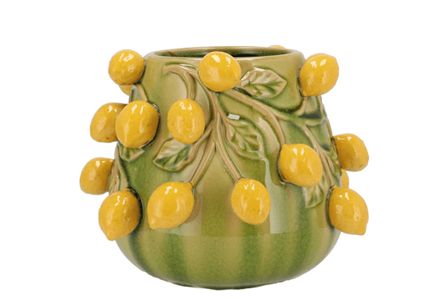 Fruit lemon olive green pot