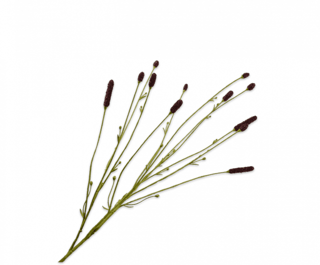 Silk-Ka Pimpernel Bruin 84cm