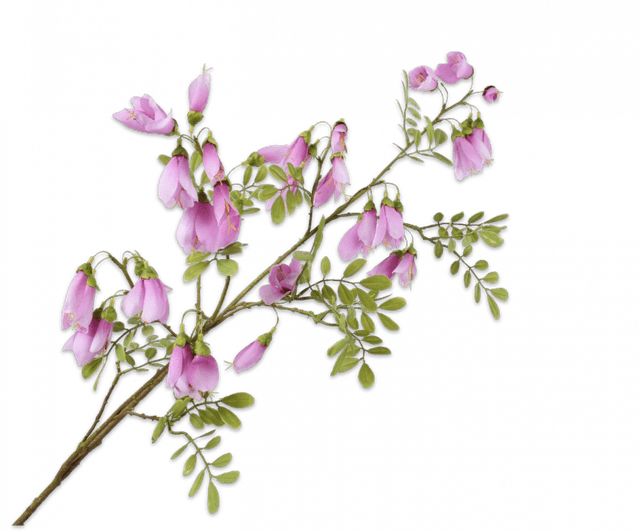 Silk-Ka Campanula Tak Lavendel Roze 