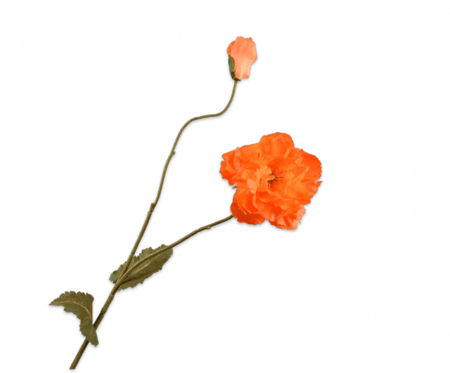 Silk-Ka Klaproos Licht Oranje 109cm