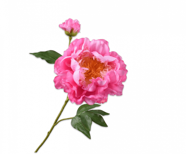Silk-Ka Pioen Tak Roze 79cm