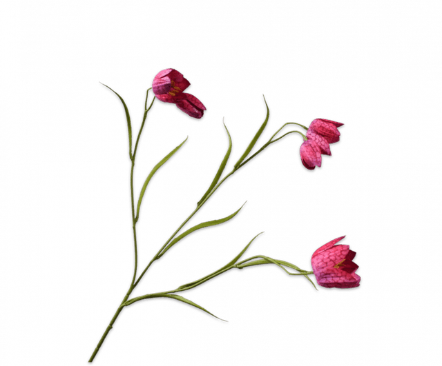 Silk-Ka Fritillaria Tak Beauty 