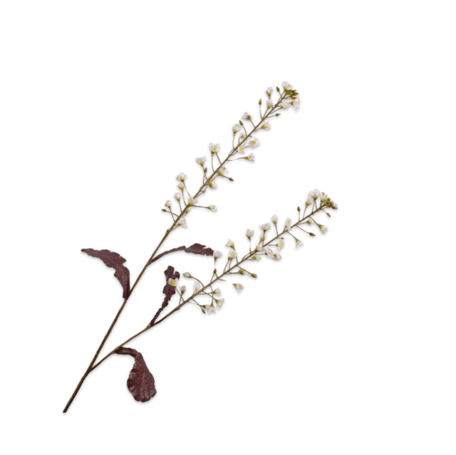 Silk-Ka Primula Tak Creme 85cm