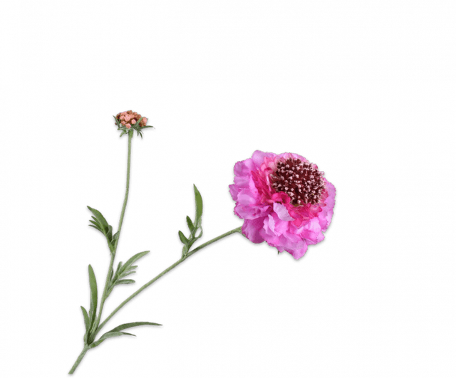 Silk-Ka Scabiosa Tak Lila 71cm 