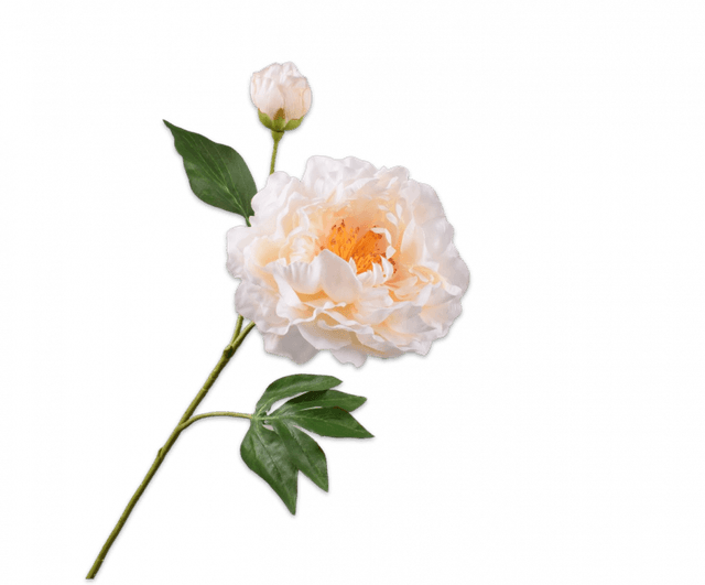 Silk-Ka Pioen Tak Creme 79cm