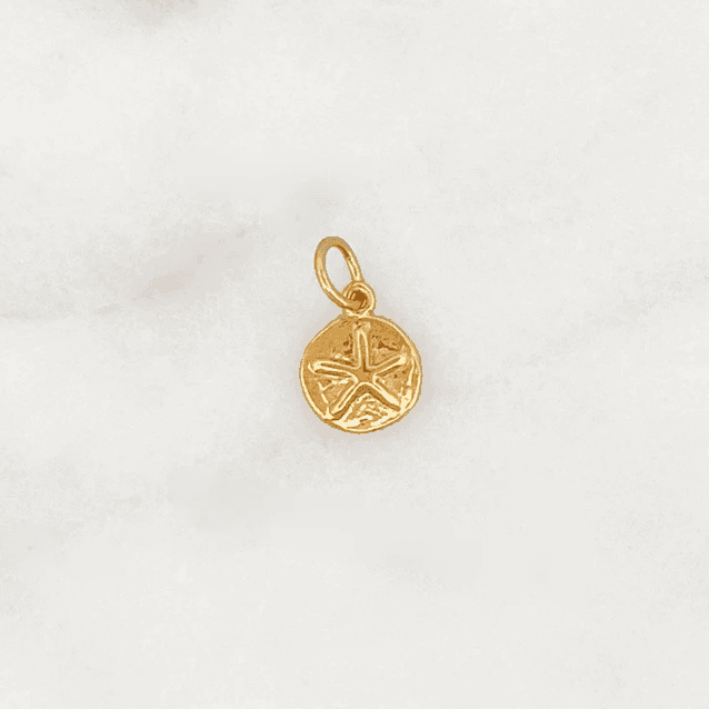 DYO Sand Dollar