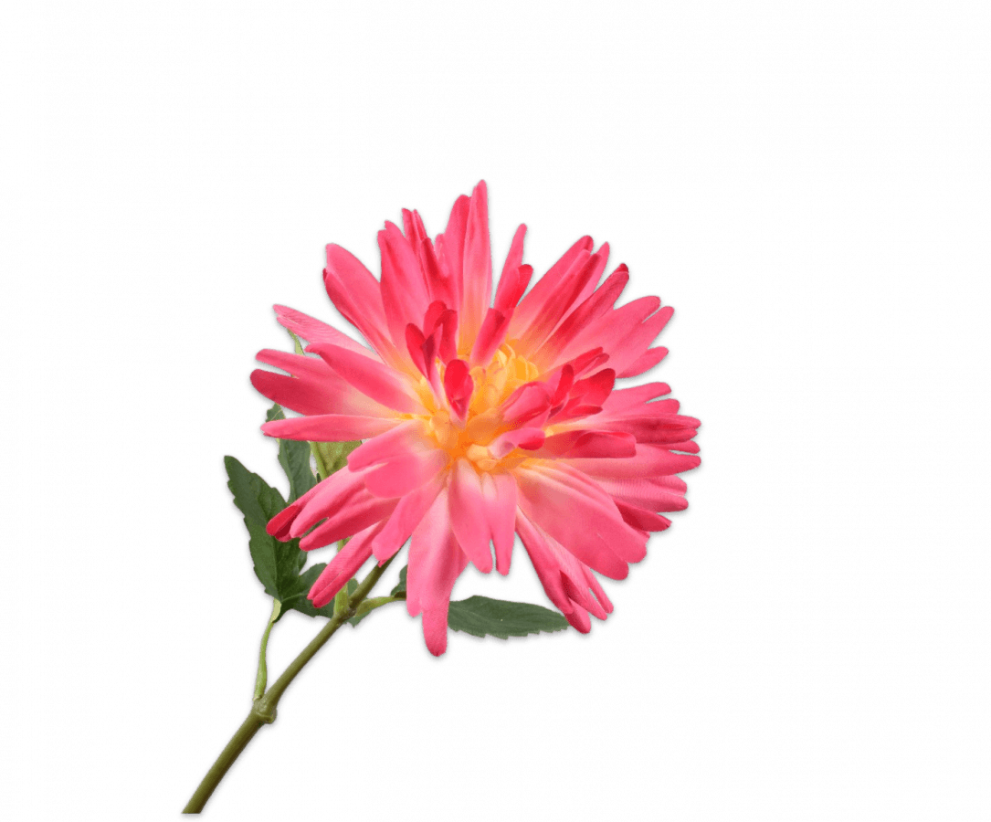 Silk-Ka Dahlia Steel Roze Geel