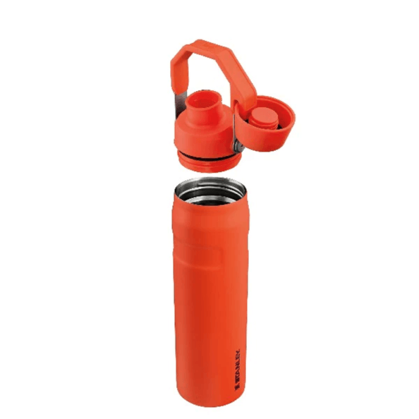 Stanley The Aerolight IceFlow Water Bottle Fast Flow 0.6L Tigerlilly