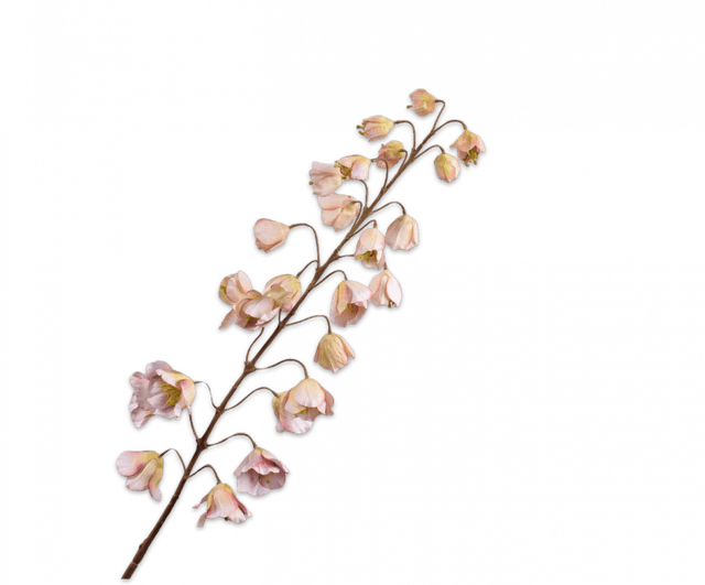 Silk-Ka Fritillaria Steel Creme