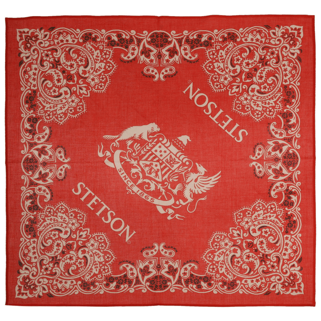 Stetson Paisley Bandana